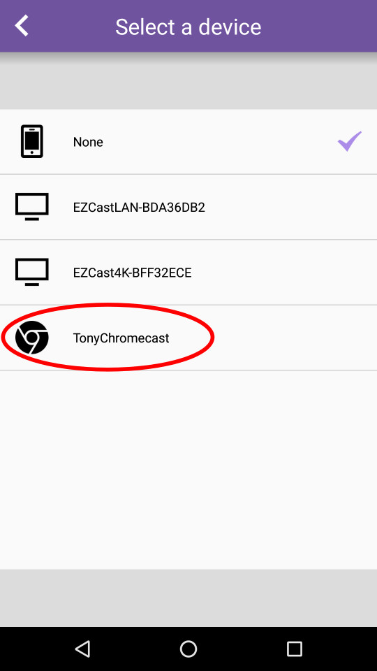 Google Cast 设备列表